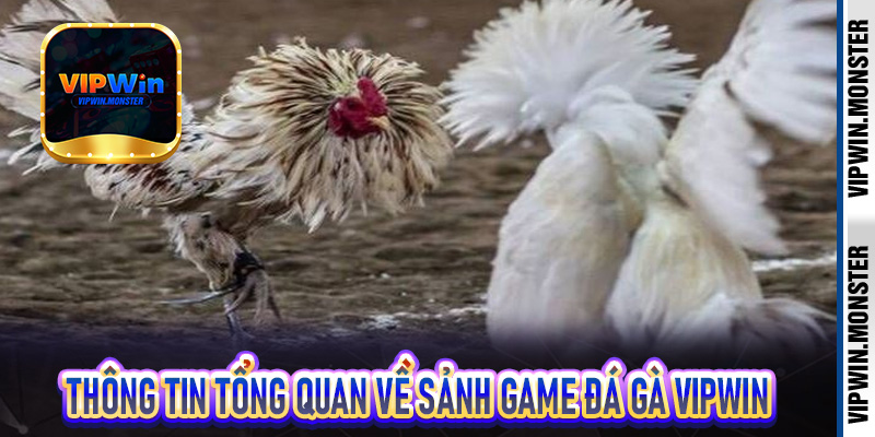 Thông tin tổng quan về sảnh game Đá Gà Vipwin