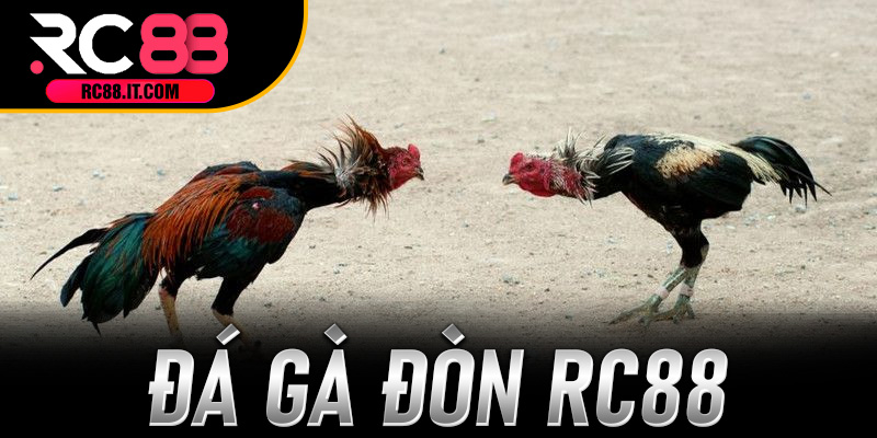 Đá Gà Đòn RC88
